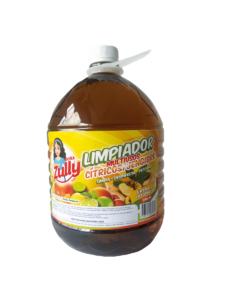 LIMPIADOR MULTIUSOS DE CÍTRICOS/JENGIBRE 3785 ML