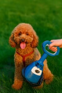 RECOGEDOR PORTATIL PARA MASCOTAS SBLJ148